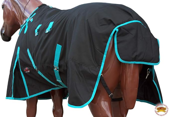 HILASON Black with Turquoise Trims 66 inch 1200D Winter Waterproof Poly Horse Turnout Blanket Belly Wrap