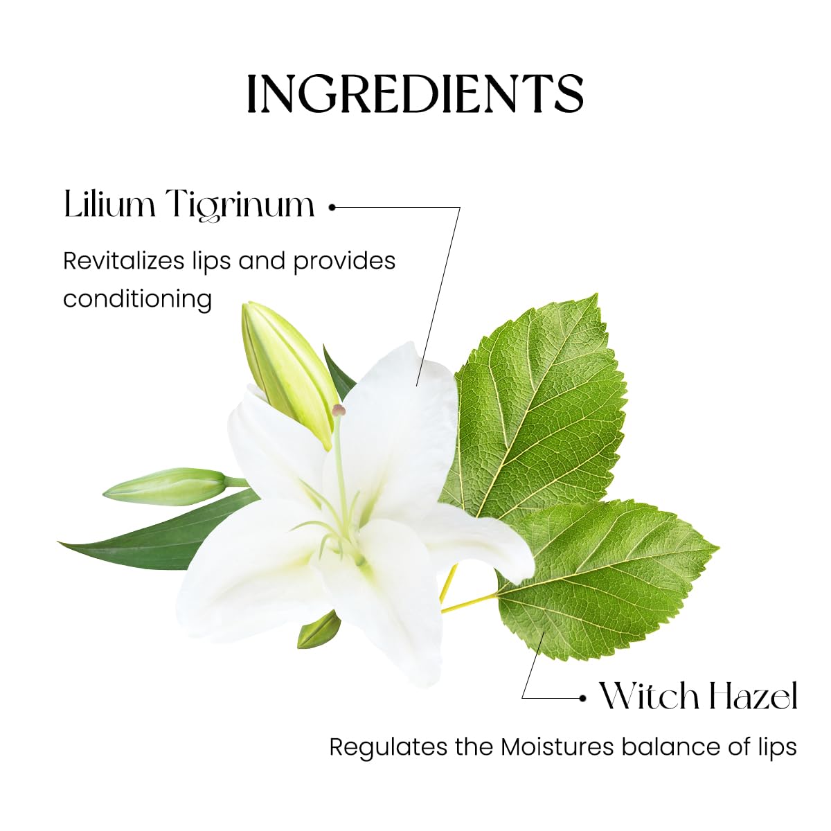 Peripera Ink Mood Glowy Tint | Lip-Plumping, Naturally Moisturizing, Lightweight, Glow-Boosting, Long-Lasting, Comfortable, Non-Sticky, Mask Friendly, No White Film 026 WHY SO BERRY (SODA CAFE) (NEW)