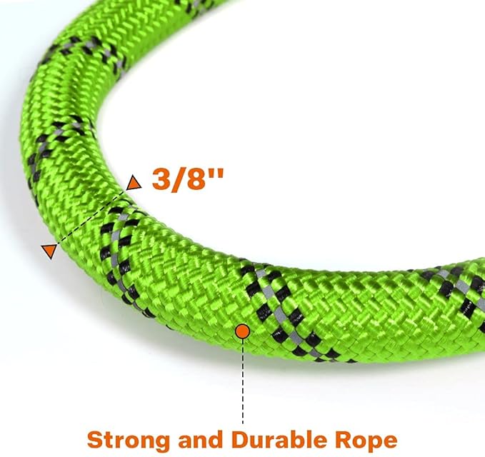 Taglory Rope Dog Leash 6 FT with Comfortable Padded Handle, Highly Reflective Threads Leash and Anti-Tangle Clip for Walking Small Dogs, 3/8 inch, Green