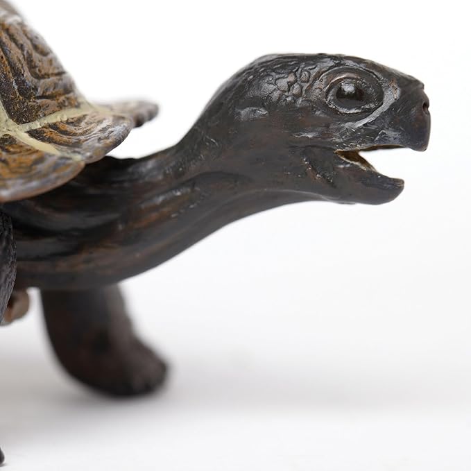 Safari Ltd. Tortoise Baby Figurine - Detailed 5.5" Plastic Model Figure - Fun Educational Play Toy for Boys, Girls & Kids Ages 18M+