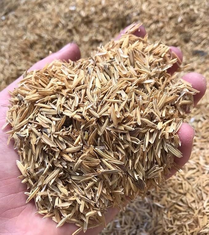 GARDENERA Premium Rice Hulls - Sustainable Gardening Essential for Improved Water Retention and Nutrient Absorption - 3 QUARTS