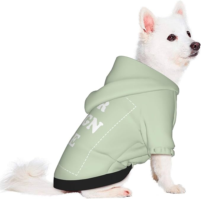 Personalized Chihuahua Dog Hoodie, Custom Pet Warm Sweatshirt Costume with Name Number Photo, Customize ID Clothes for Pupppy Kitten Dogs Cats, LightGreen, XS