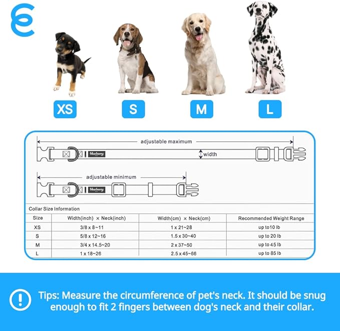 Blueberry Pet Essentials Reflective Adjustable Safety Nylon Dog Collars Medium Size | Reflective Minty Green Dog Collar for Girl and Boy Dogs