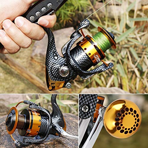 Burning Shark Fishing Reels- 12+1 BB, Light and Smooth Spinning Reels, Powerful Carbon Fiber Drag, Saltwater and Freshwater Fishing - size: TT2000