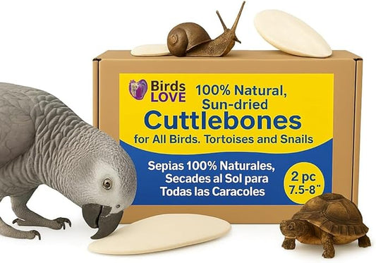 Birds LOVE Natural Cuttlebone for Birds & Reptiles – 100% Pure Sun-Dried Calcium Supplement – Supports Beak, Bone & Shell Strength – Safe Daily Use - 2 Pack with Holder, 7.5 to 8"