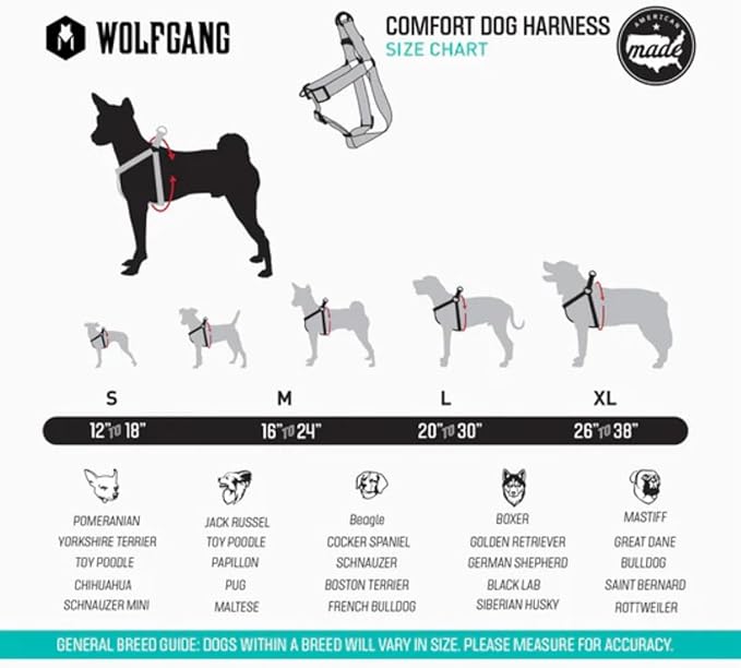 Wolfgang Heavy Duty Adjustable Dog Harness, Pull-Tested to Over 800 lbs for Walking & Training, SunsetPalms Print, Medium