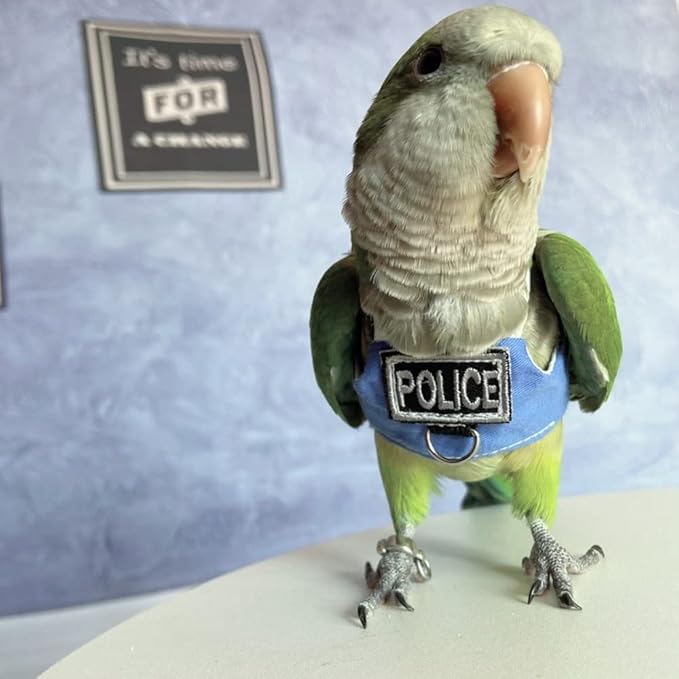 Bird Flight Harness Vest, Parrot Flight Suit with Leash, Bird Flying Clothes with Rope and Handle for Outdoor Activities (with Leash,Budgie)