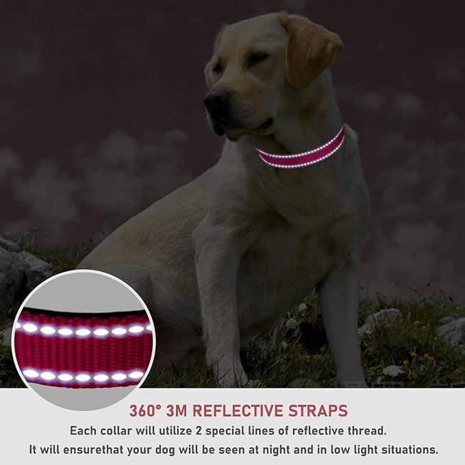Reflective Dog Collar with Buckle Adjustable Safety Nylon Collars for Small Medium Large Dogs, Red L