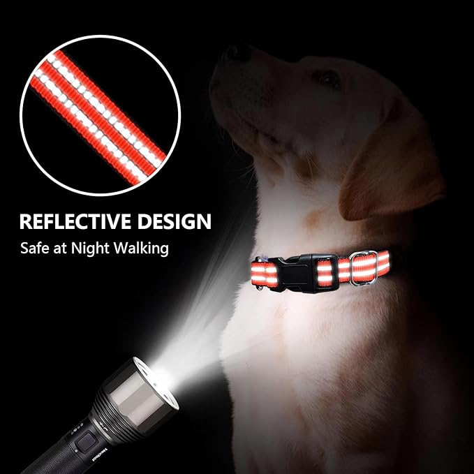 Martingale Dog Collar, Adjustable Nylon Reflective Collar with Quick Release Buckle (Bright Orange, Extra Large)