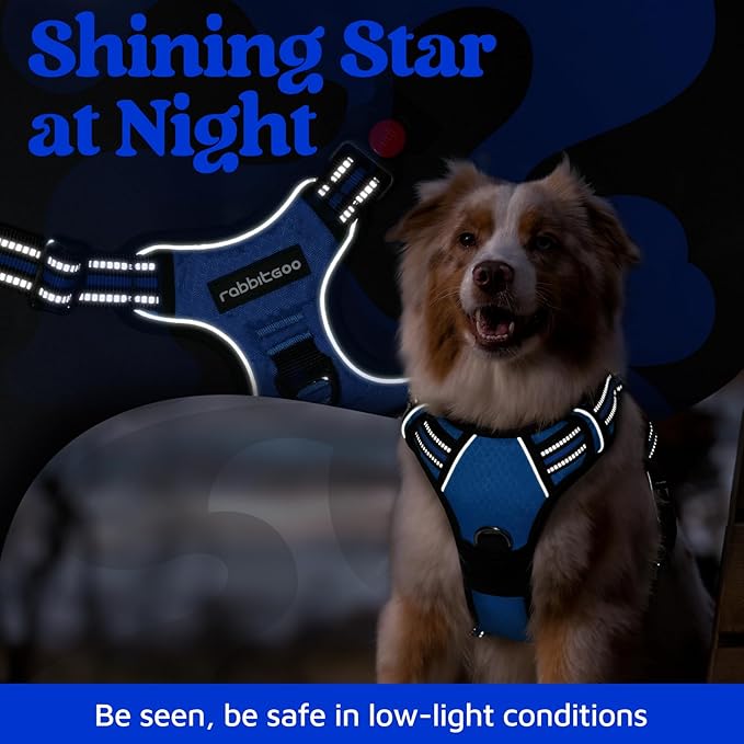 rabbitgoo Dog Harness for Large Dogs, No Pull Pet Vest with 3 Buckles, Adjustable Soft Padded Pet Harness with Easy Control Handle and Reflective Strips, Royal Blue, L