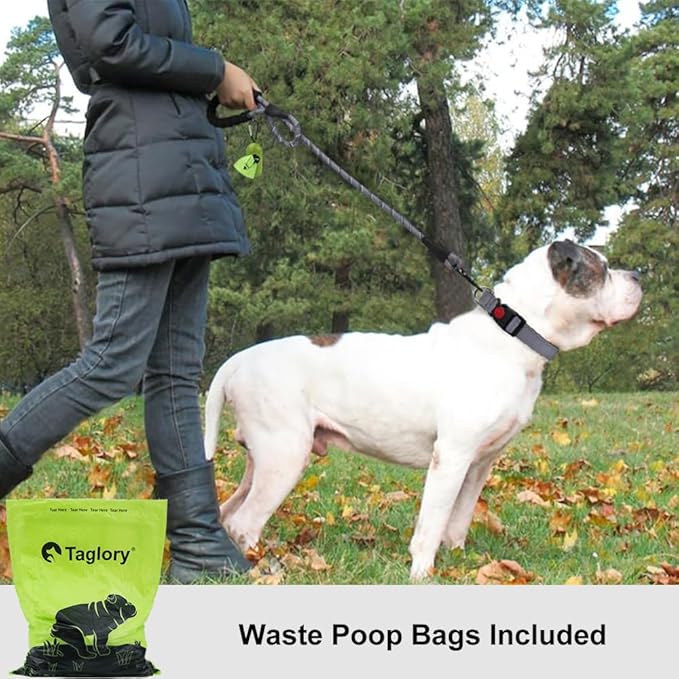 Taglory Rope Dog Leash 4 FT with Comfortable Padded Handle, Highly Reflective Threads Leash and Anti-Tangle Clip for Walking Medium Large Dogs, 1/2 inch, Grey