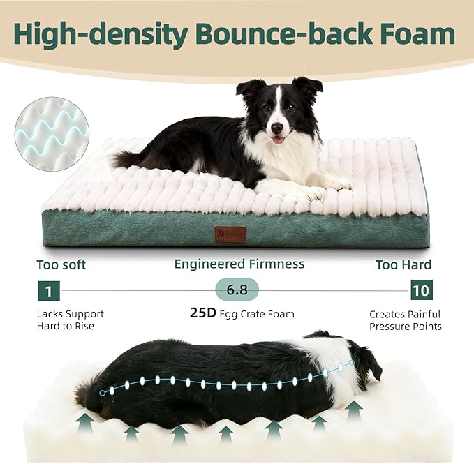 Orthopedic Dog Bed with Firm High-Density Egg Crate Foam,Soft Short Plush Surface Pet Beds,Machine Washable with Removable Cover & Non-Slip Bottom for Medium & Large Breeds (Green, 35"L x 22"W x 3"H)