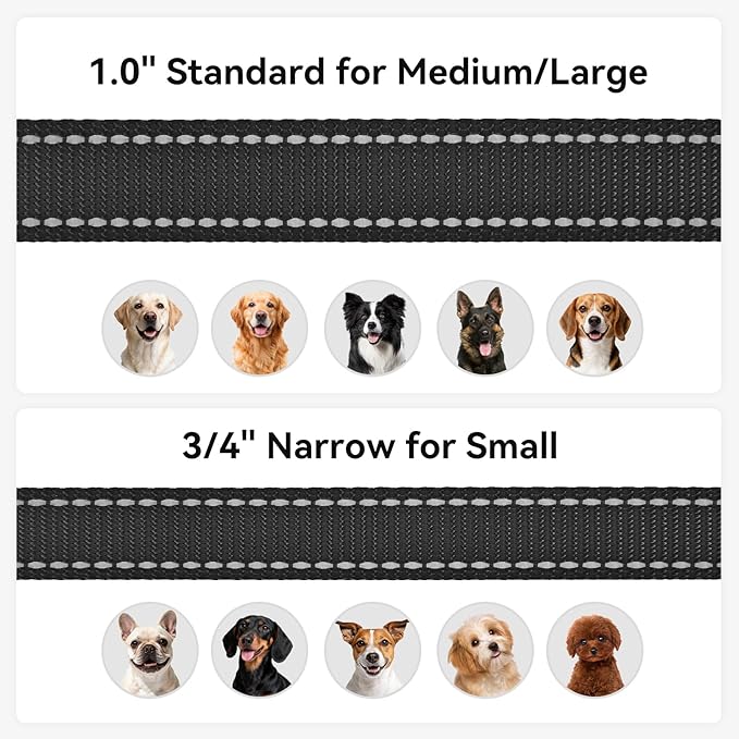 Joytale Dog Leash, 5 FT Double-Sided Reflective, Padded Handle Nylon Heavy Duty Leashes for Medium & Large Dogs Walking, Black