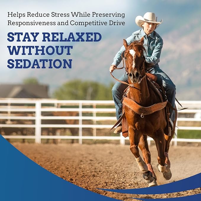 TryChill™ 12 Pack – L-Tryptophan-Based Support for Horses – Promotes a Composed Demeanor Without Sedation – Enhances Focus, Confidence & Performance – 100% Natural & Competition Safe