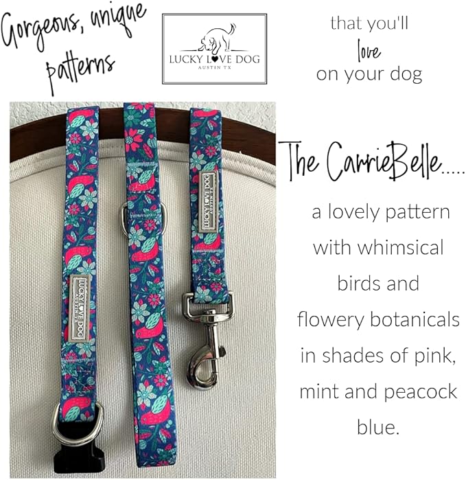 Lucky Love Dog - Adjustable Dog Collar with Easy Click Buckle for Small Ones, Durable, & Comfortable for Male & Female Dogs, Pet Collar for Puppies & Adult Dogs - Carriebelle, XS
