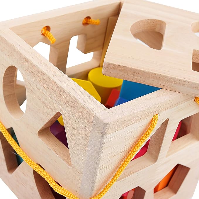QZMTOY Shape Sorter Toys with 19 Shape Blocks, Classic Wooden Toys for Toddlers Kids, Gift for Girls Boys 2-4 (Natural Solid Wood)