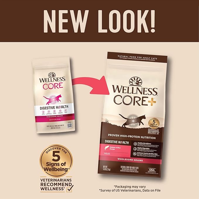 Wellness CORE+ Adult Dry Cat Food for Indoor and Outdoor Cats, Wholesome Grains, Natural, Digestive Health Salmon & Rice (5 Pound Bag)