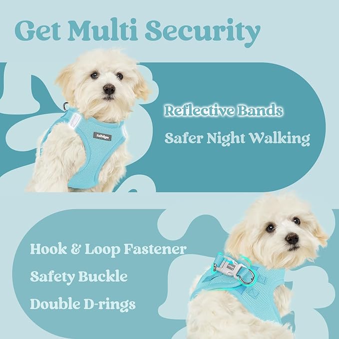 rabbitgoo Small Dog Harness, Step-in Soft Mesh Puppy Vest with Safety Buckle, Breathable Reflective Pet Harness for Small Sized Dogs, Mint Blue XS