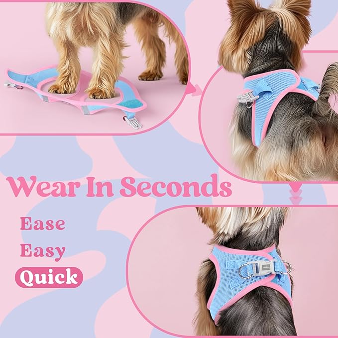 rabbitgoo Small Dog Harness, Step-in Soft Mesh Puppy Vest with Safety Buckle, Breathable Reflective Pet Harness for Small Sized Dogs, Blue & Light Pink S