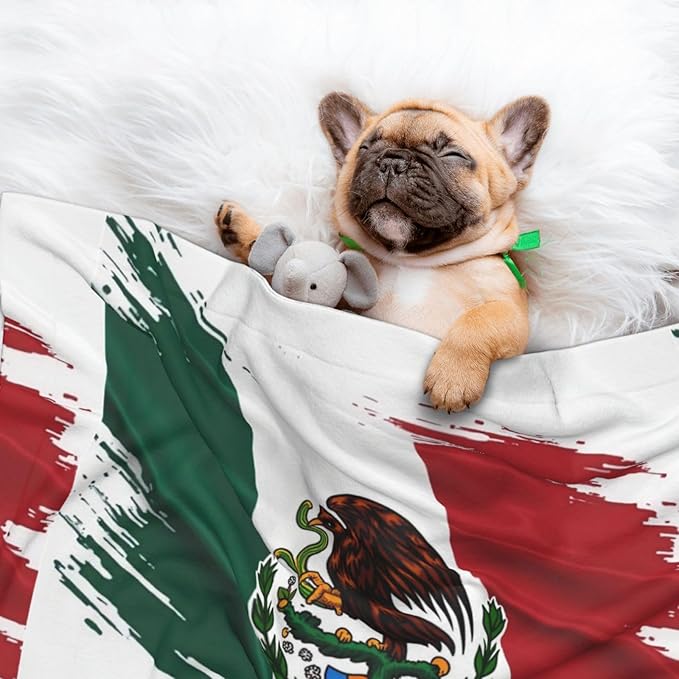 Reversible Dog Blanket for Beds Couches, Mexico Flag Cool Eagle, Double Sided Cat Blanket with Textured Dot Feel and Smooth Feel for Seasonal Comfort All Year