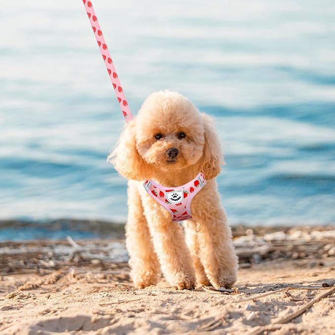 EXPAWLORER Dog Harness and Leash Set - Cute Puppy Harness Leash Dog Collar with AirTag Holder Silicone Case, Soft Padded Step in Pet Vest Reflective for Outdoor Walking, Strawberry L