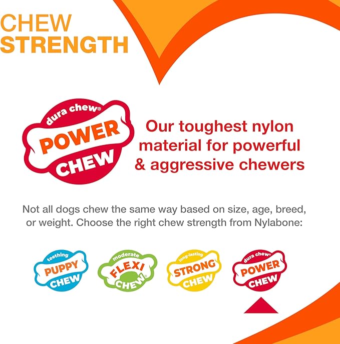 Nylabone Ergonomic Hold Wishbone Power Chew Toy for Dogs, Dog Toys for Aggressive Chewers, Bison Flavor, Large - Up to 50 lbs, 1 Count