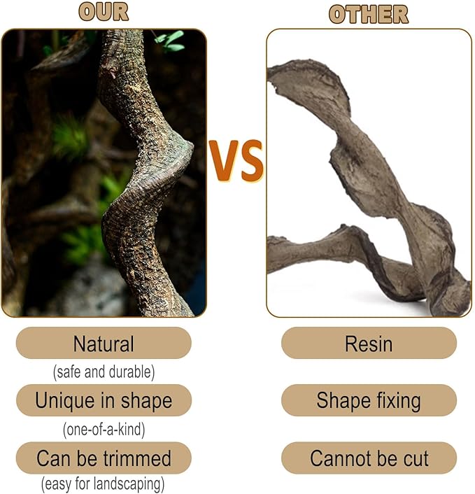 Reptile Decor Natural Forest Branch Terrarium Habitat Driftwood Decoration Lizard Climbing Tree Branch for Bearded Dragon Gecko Snake Frog Chameleon Spider 4PCS