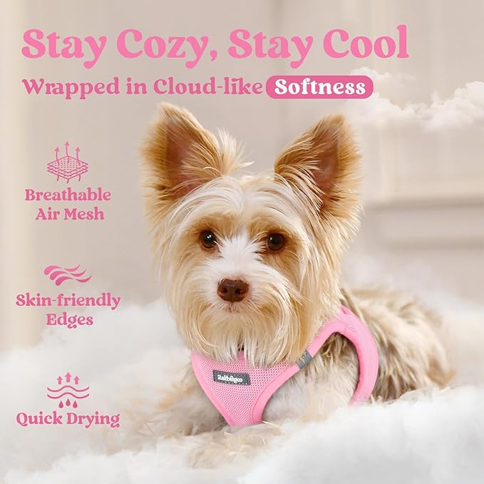rabbitgoo Small Dog Harness, Step-in Soft Mesh Puppy Vest with Safety Buckle, Breathable Reflective Pet Harness for Small Sized Dogs, Light Pink XS