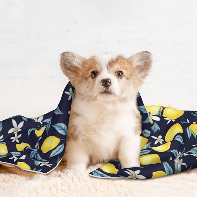 Two Sided Pet Cuddler Blanket for Anxiety Calming, Citrus Fruit Flower Lemon Green, Reversible Plush Design with Bubble Dot Pattern Provides Familiar Surface Anywhere