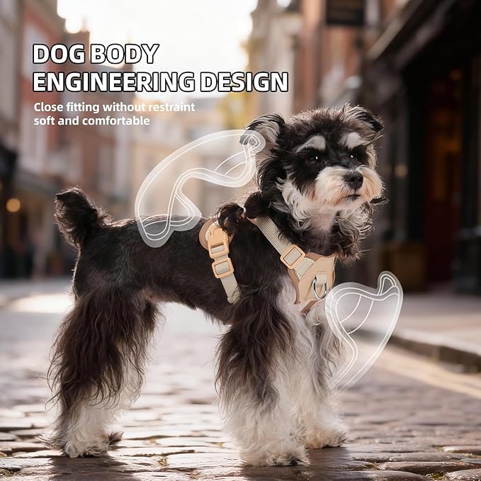 Small Dog Harness and Leash Set, Breathable Mesh Puppy Harness, Adjustable Dog Harness for Small Medium Large Dogs, No-Pull Pet Harness for Daily Walking (Faint Yellow, Large)