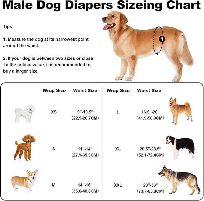 Washable Dog Diapers Male Reusable, Premium Belly Bands for Male Dogs Small, Pack of 3, High Absorbing Small Male Dog Pee Wraps for Doggie in Incontinence or Excitable Urination and Training(S)