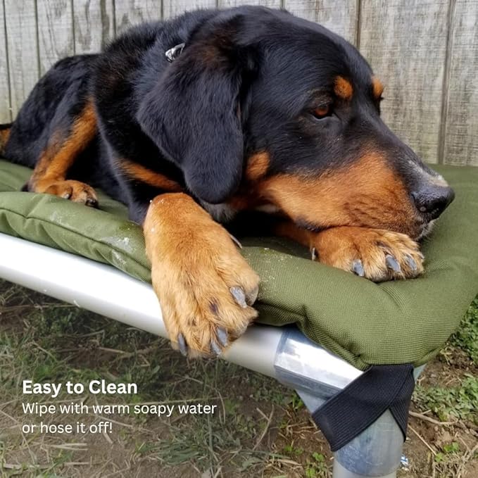 Kuranda Chewproof Elevated Pet Bed - Silver Aluminum - 44" x 27" - Sunsure Textilene - Sierra
