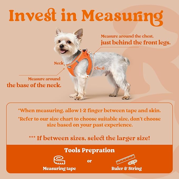 rabbitgoo Small Dog Harness, Step-in Soft Mesh Puppy Vest with Safety Buckle, Breathable Reflective Pet Harness for Large Dogs, Orange XXL