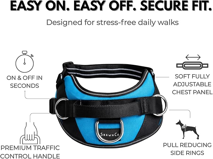 ShawnCo Essential Dog Harness, No-Pull Pet Vest with 3 Leash Clips, No Choke, Reflective, Adjustable and Padded, for Easy Walking and Training for Small, Medium and Large Dogs (Seafoam, XS)
