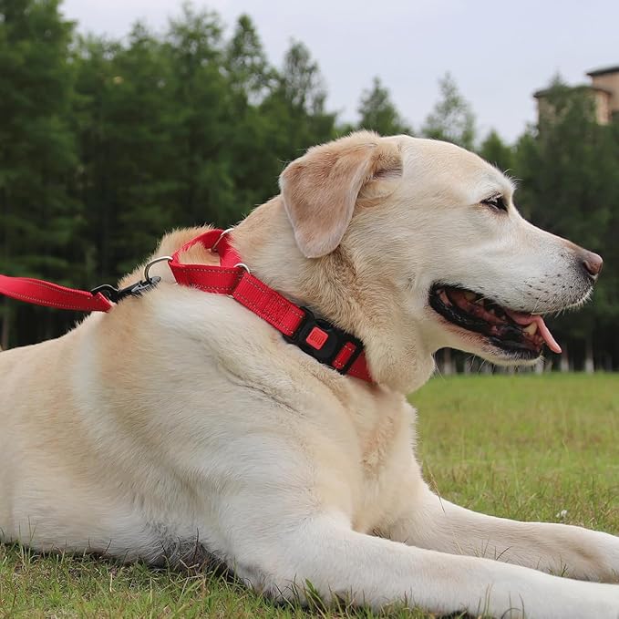 Joytale Martingale Collar for Dogs, Reflective Heavy Duty for Safety, Quick Release Buckle, Adjustable Nylon Collars for Puppy and XSmall Dogs Walking Training, Red,XS
