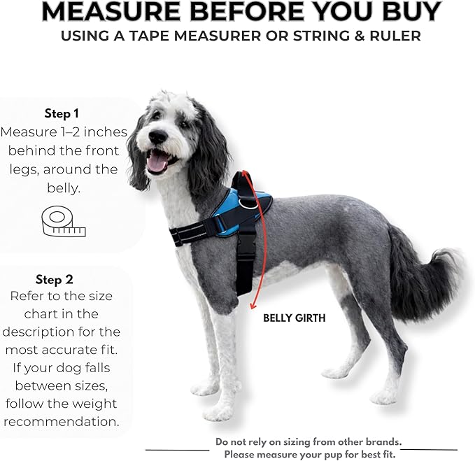 ShawnCo Essential Dog Harness, No-Pull Pet Vest with 3 Leash Clips, No Choke, Reflective, Adjustable and Padded, for Easy Walking and Training for Small, Medium and Large Dogs (Orchid, M)