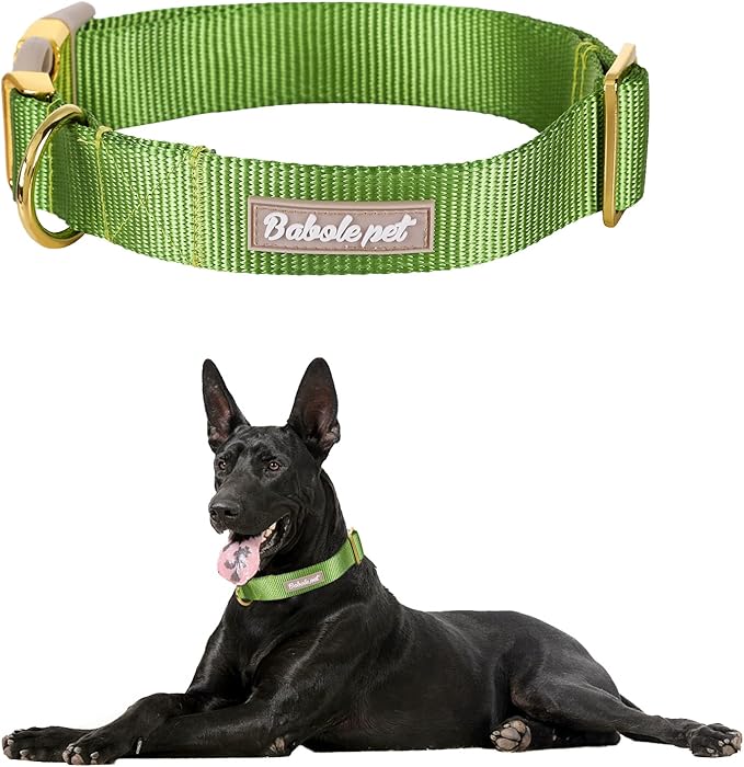 Nylon Dog Collar - Adjustable Green Soft Webbing Dog Collars for Small Medium Large Dogs Boy Girl Puppy Collar with Safety Metal Buckle S