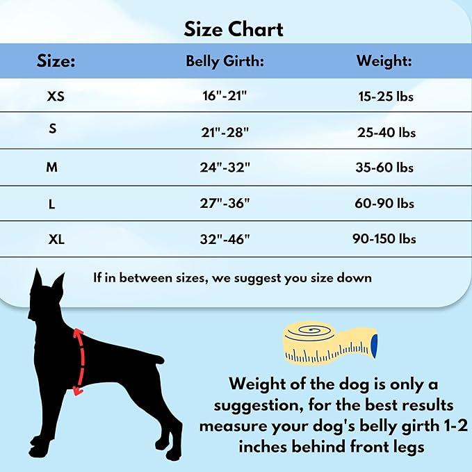 ShawnCo Dream Walk No-Pull Dog Harness- Adjustable, Comfortable, Easy to Use Pet Halter to Help Stop Pulling for Small, Medium and Large Dogs (Driftwood, S)