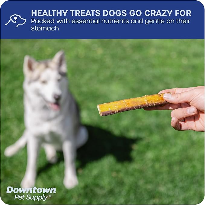 Downtown Pet Supply Jumbo Bully Sticks for Dogs - Natural Beef Chews, Low-Odor & Rawhide-Free, Long Lasting Dog Treats for Aggressive Chewers - Healthy, Safe & Delicious Chews Dogs Love (6" 24 Pack)