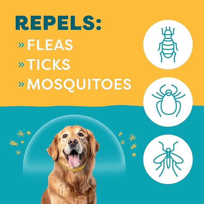 Only Natural Pet EasyDefense Flea & Tick Dog Collar - Canine Flea Control Collars - One Size Fits All - Pet Care That Protects up to 4 Months - for Dogs (Single Collar)