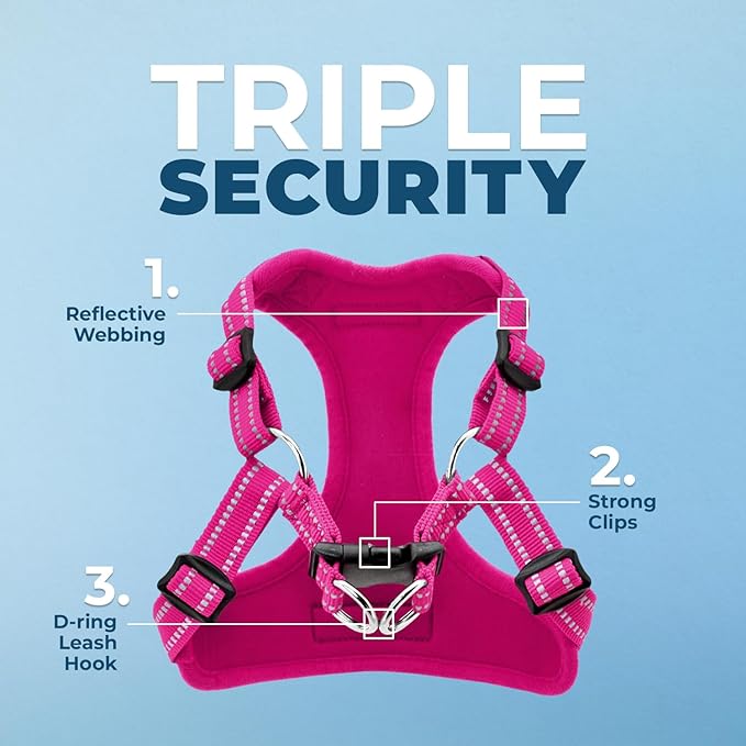 Best Pet Supplies Voyager Adjustable Step-in Flex Breathable Mesh Dog Harness for Small Medium Large Dogs (Fuchsia), S