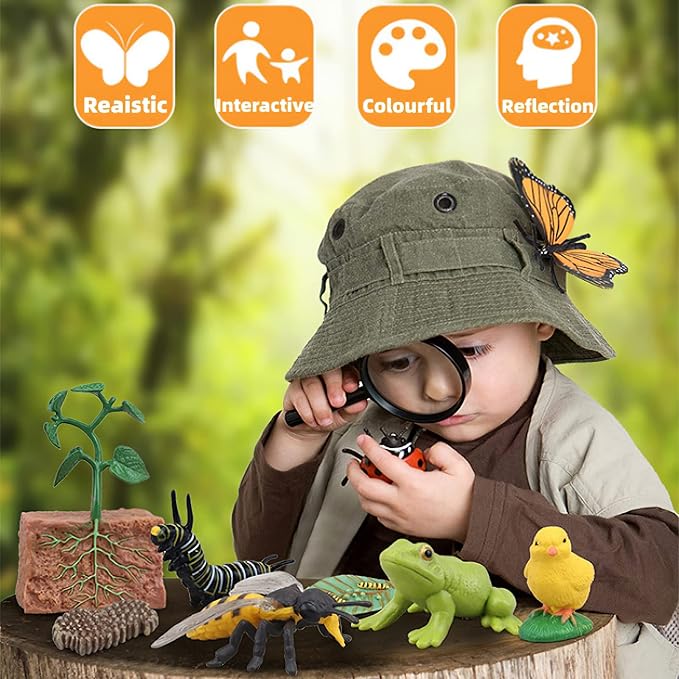 Montessori Chicken Life Cycle with Flash Cards, Realistic Animal Figurines Toy, Animal Educational Matching Game for 3+ Year Old Kids (Cock)