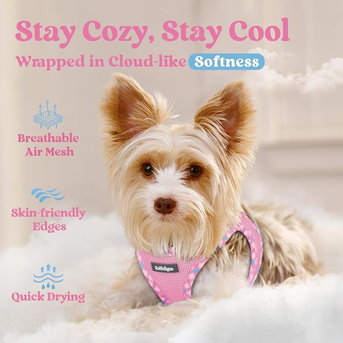 rabbitgoo Small Dog Harness, Step-in Soft Mesh Puppy Vest with Safety Buckle, Breathable Reflective Pet Harness for Small Sized Dogs, Pink & Plaid Trim XS