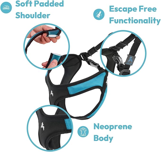 Gooby - Escape Free Easy Fit Harness, Small Dog Step-in Harness for Dogs that Like to Escape Their Harness, Turquoise, Small