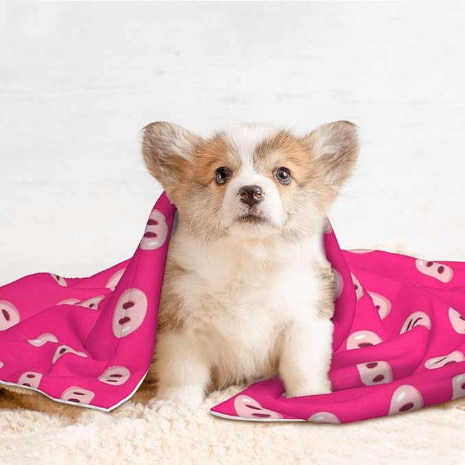 Reversible Plush Dot Pet Blanket for Dogs and Cats, Cute Pig Nose Printed Pink, Ultra Soft Two Sided Design with Warm Fuzzy Side and Smooth Side for Comfort
