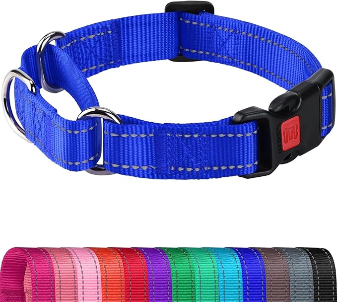 Joytale Martingale Collar for Dogs, Reflective Heavy Duty for Safety, Quick Release Buckle, Adjustable Nylon Collars for Puppy and XSmall Dogs Walking Training, Navy Blue,XS