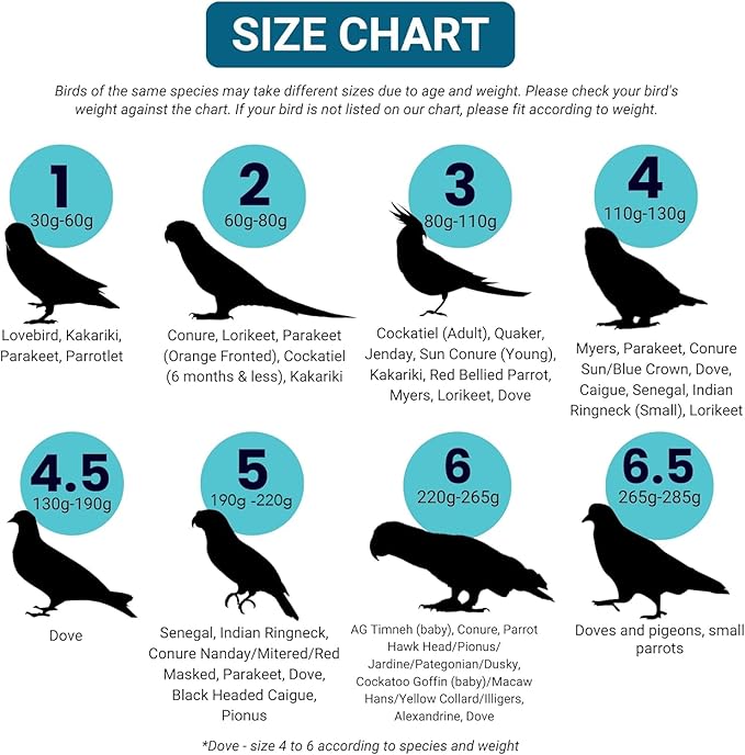 Bev's Bird Boutique Regular Flyper Adjustable Bird Diaper | Reusable, Washable Cloth | Comfort Fit for Parrot, Cockatiels, & Other Small Birds | Fashionable Avian Accessories, Navy & Red, Size 7.5