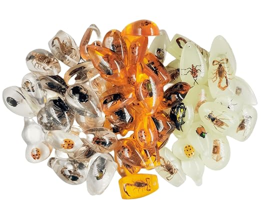 Real Specimens of Various Butterflies and Beetles Made of Resin, Used for Science Classroom Science Education Animal Specimens, Bug Preserved,Oddities, Biology (25Pcs Irregular Small Amber)