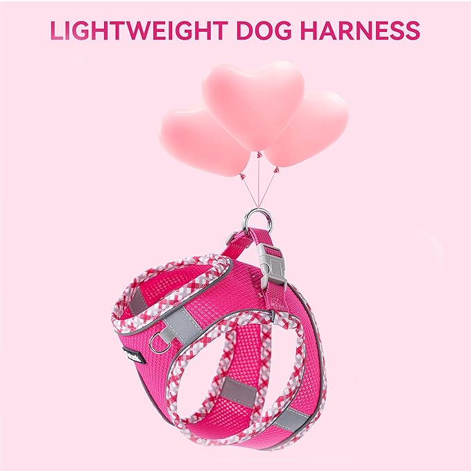 Petank Dog Harness for Small Medium Dogs No Pull, Puppy Harness and Leash Set for Walking, Running, Training, Small Dog Harness, Medium Dog Harness (Rose Red, S)