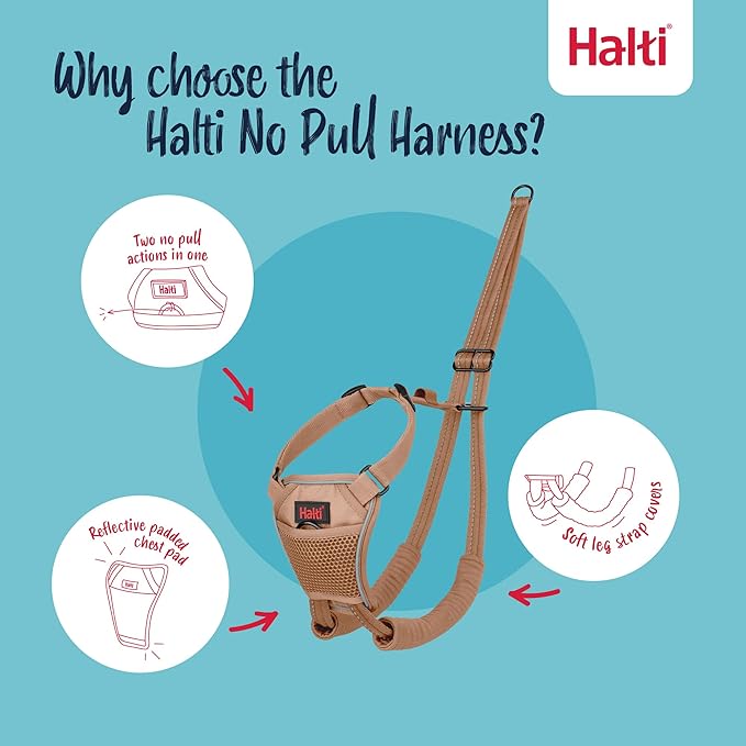 Halti No Pull Harness - Stop Your Dog Pulling on The Leash. Adjustable, Lightweight and Easy to Use. Reflective Dog Training Harness for Toy and Small Dogs (Size XS, Desert Sand)